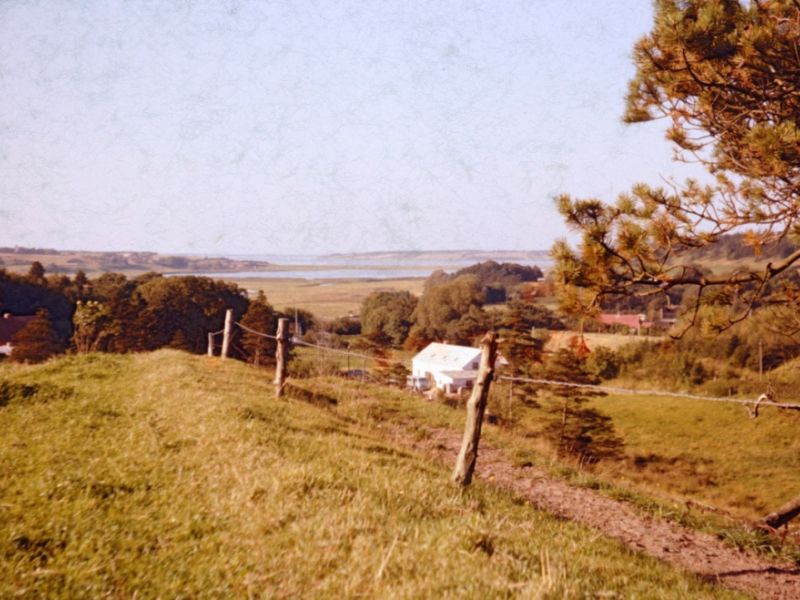 1961 Fiskbæk mod fjorden