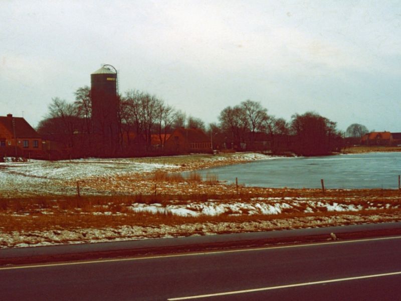 1982  Fiskbæk (2)