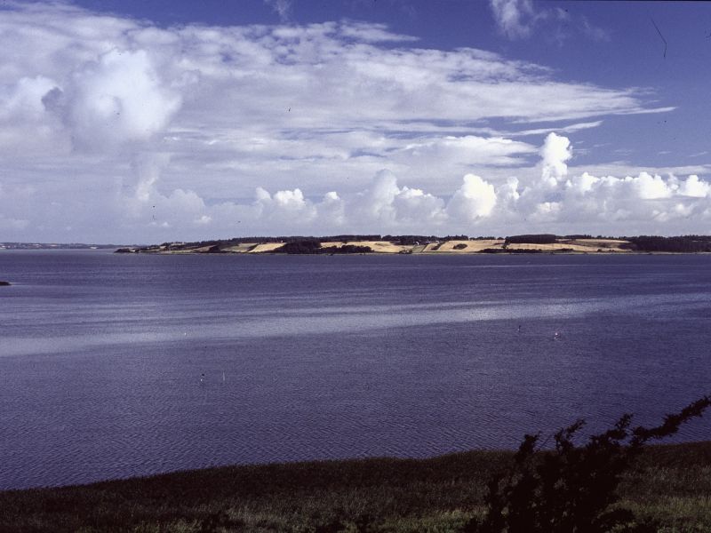 lysholm dias  22  8
