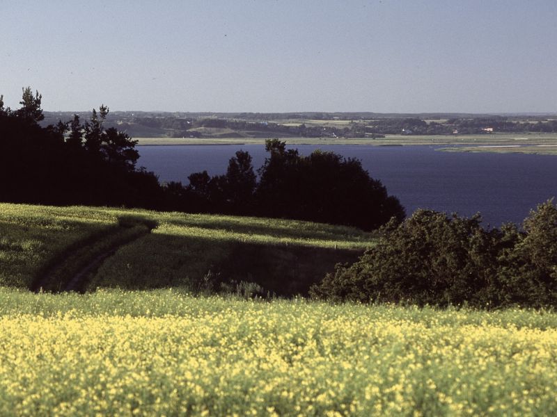lysholm dias  26 07