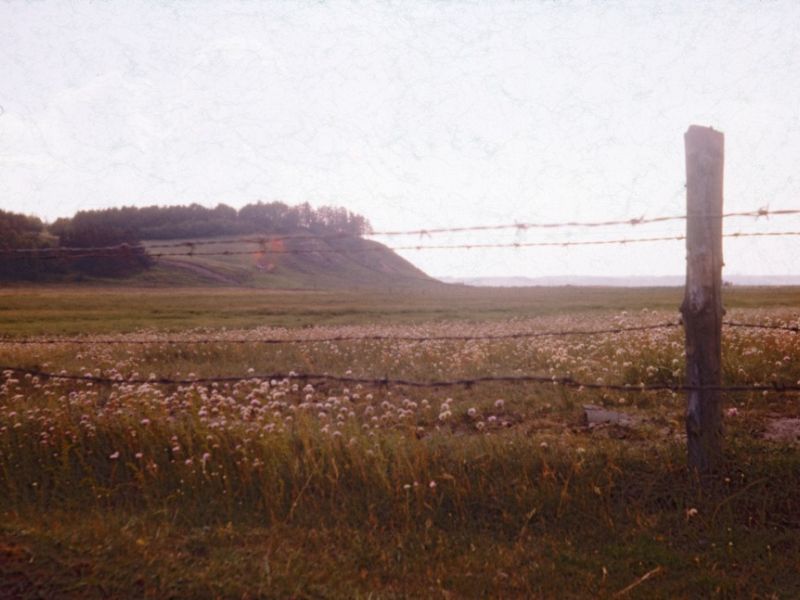 1959 Vorde, engene