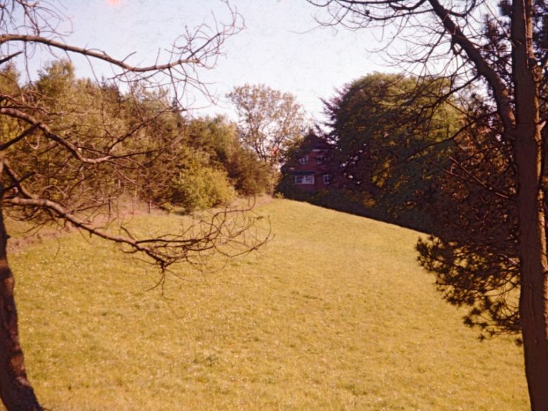 1960 Vorde, præstegården fra nord