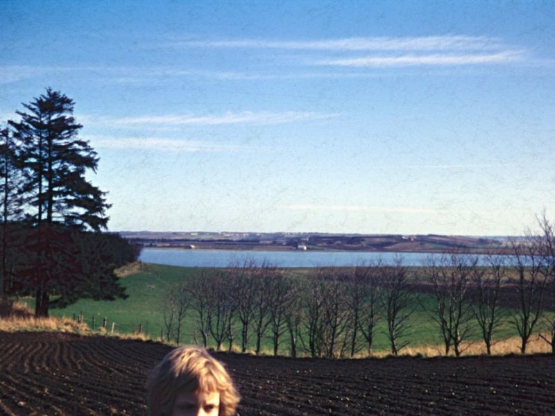 1960 Vorde, udsigt mod Skals