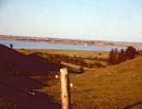1961 Vorde, Horsdal
