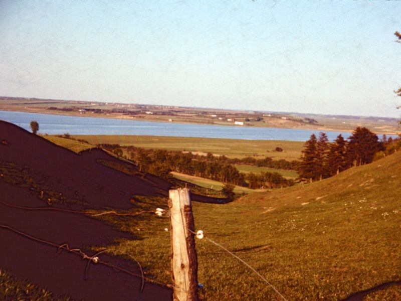 1961 Vorde, Horsdal