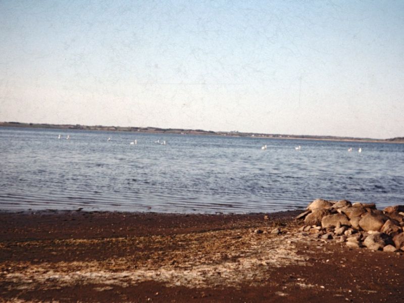 1964 Vorde stranden v. fjorden