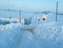 1966 Vorde Starsig i sne