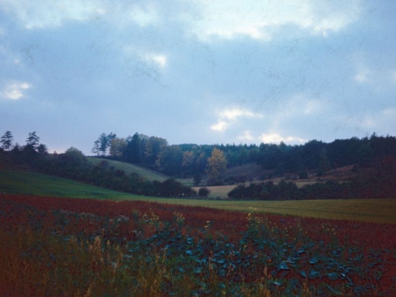 196x Vorde enge (2)