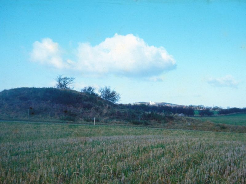 Vorde 1973